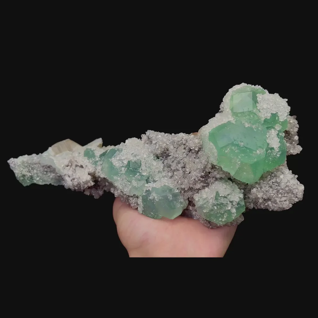 specimen video