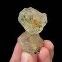 specimen video