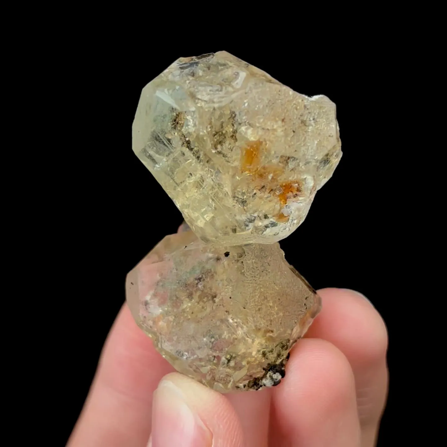 specimen video