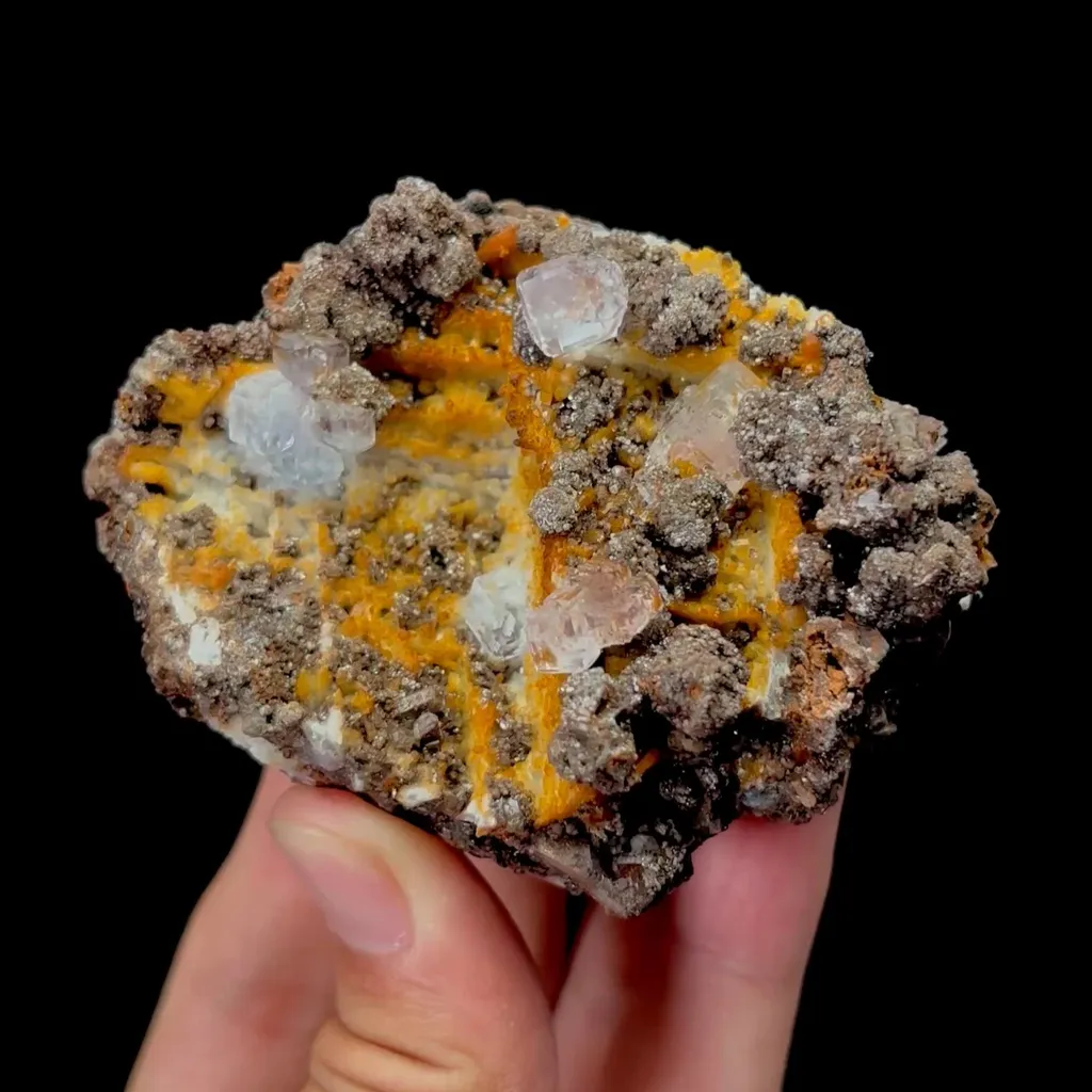 specimen video