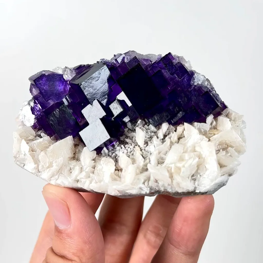 specimen video