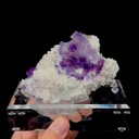 specimen video