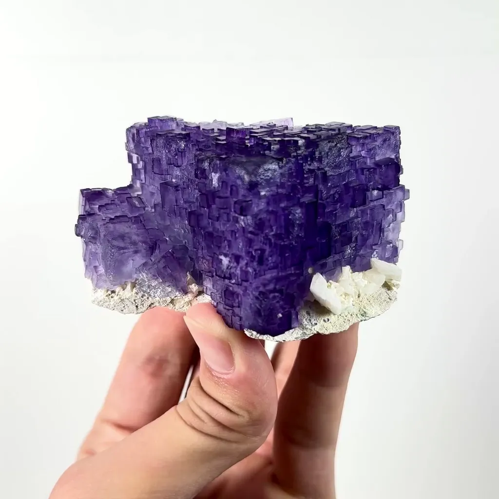 specimen video