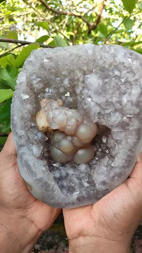 specimen video