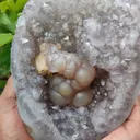 specimen video