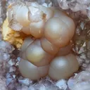 Natural Fluorite with Calcite in Amethyst Geode natural mineral Specimen - image 4