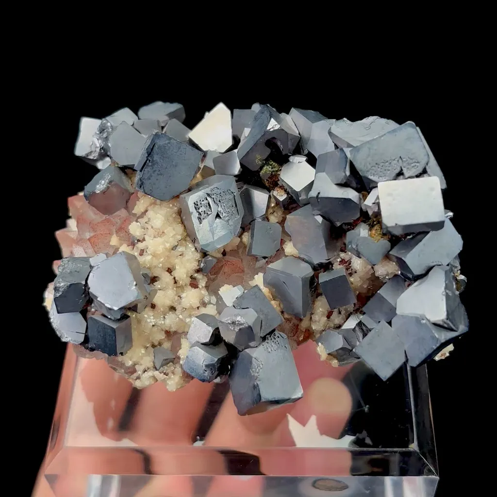 specimen video