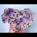 specimen video