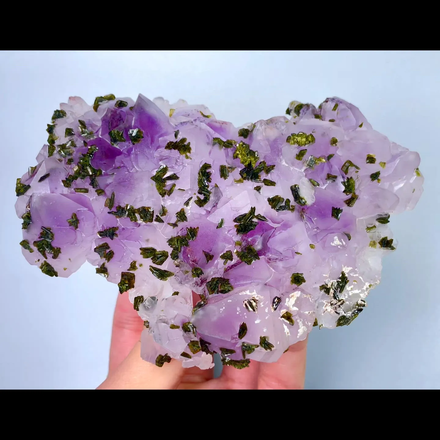 specimen video