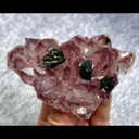 specimen video