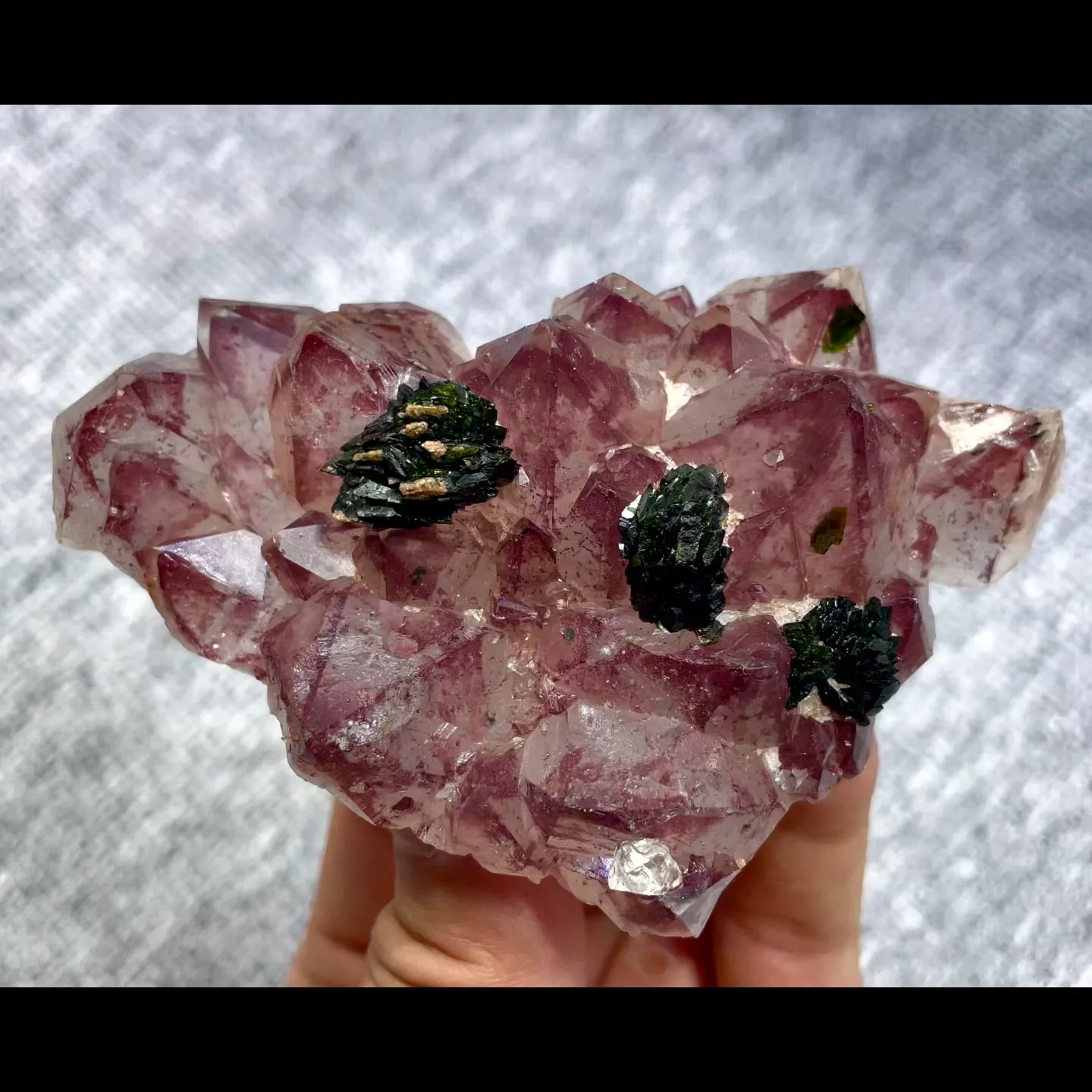 specimen video