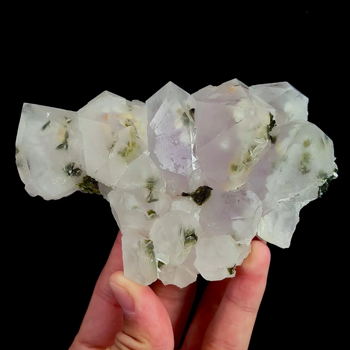 specimen video