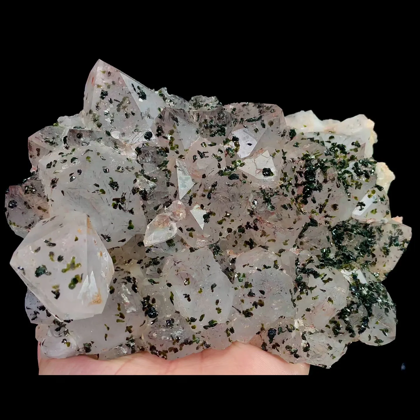 specimen video
