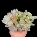 specimen video