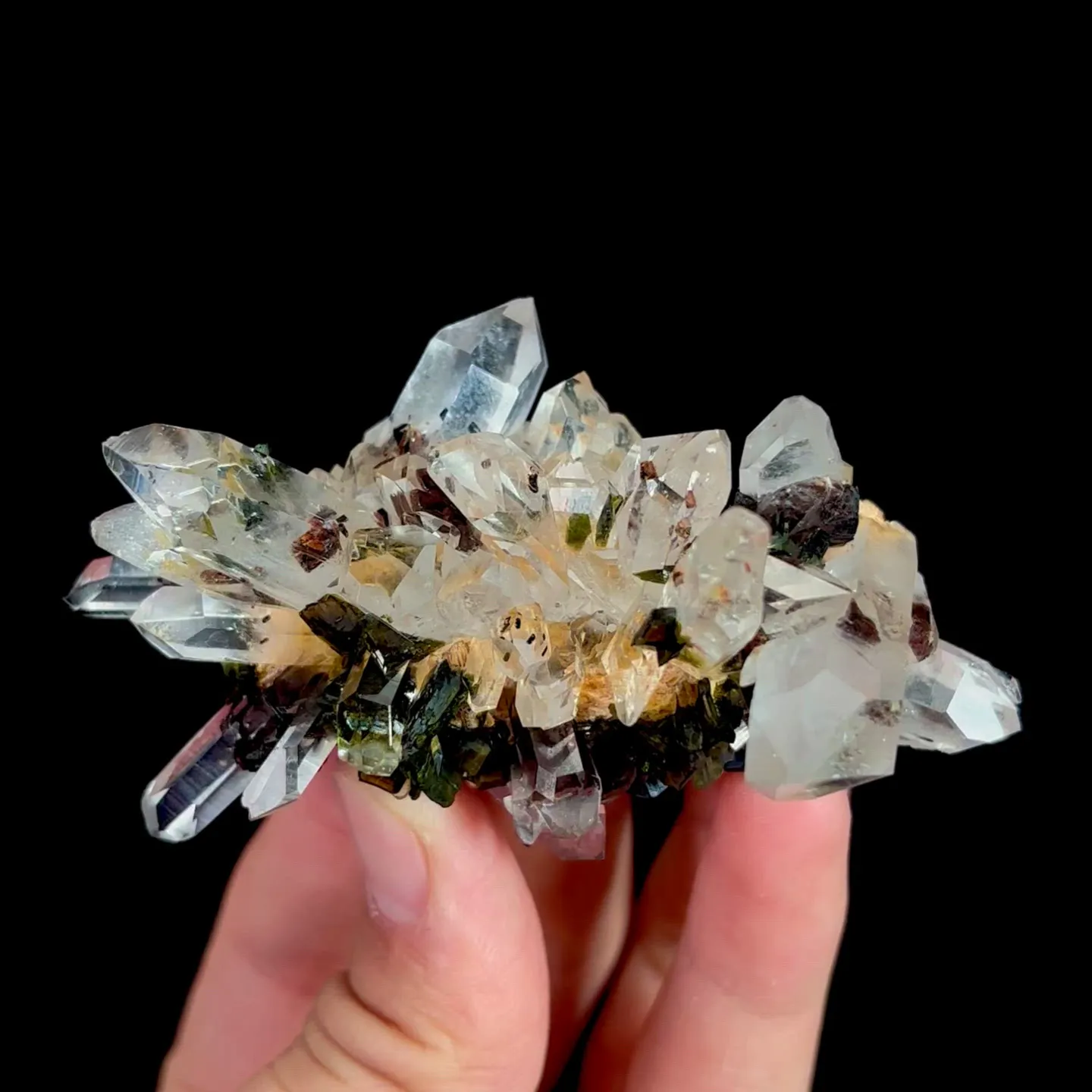 specimen video