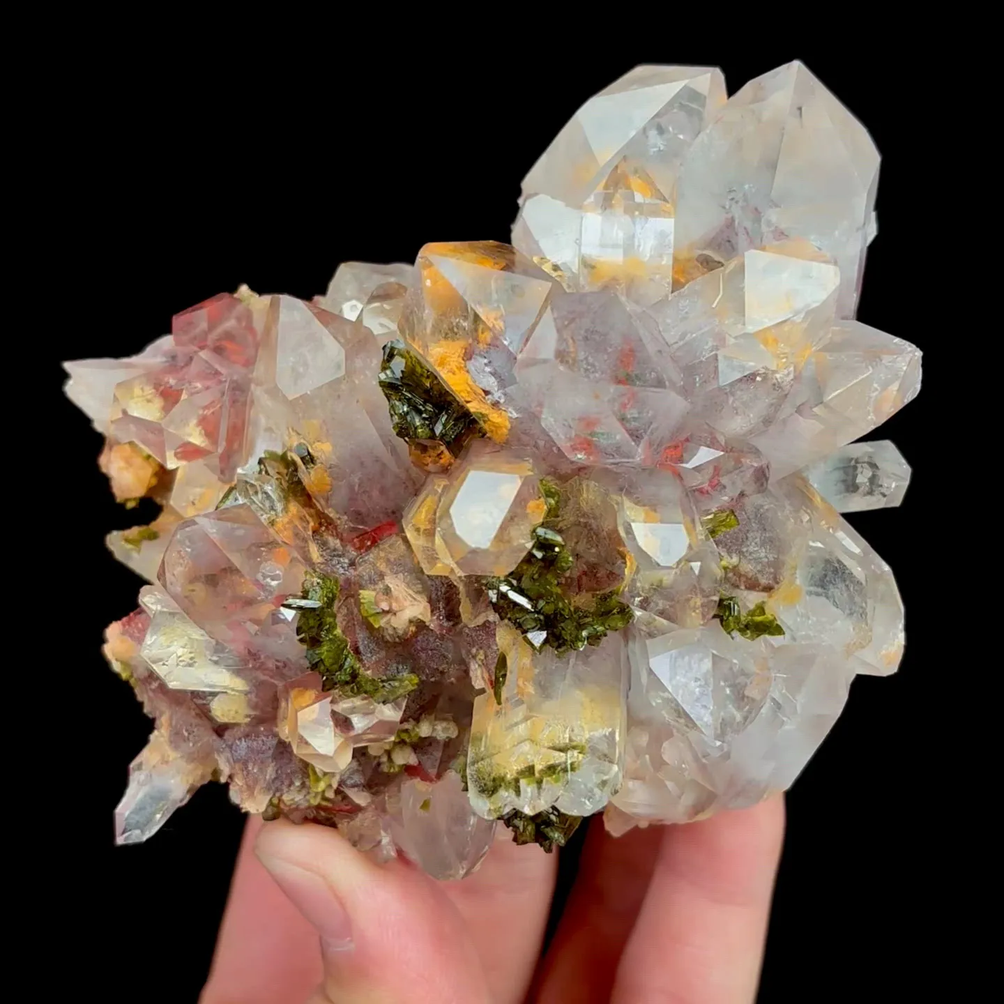 specimen video