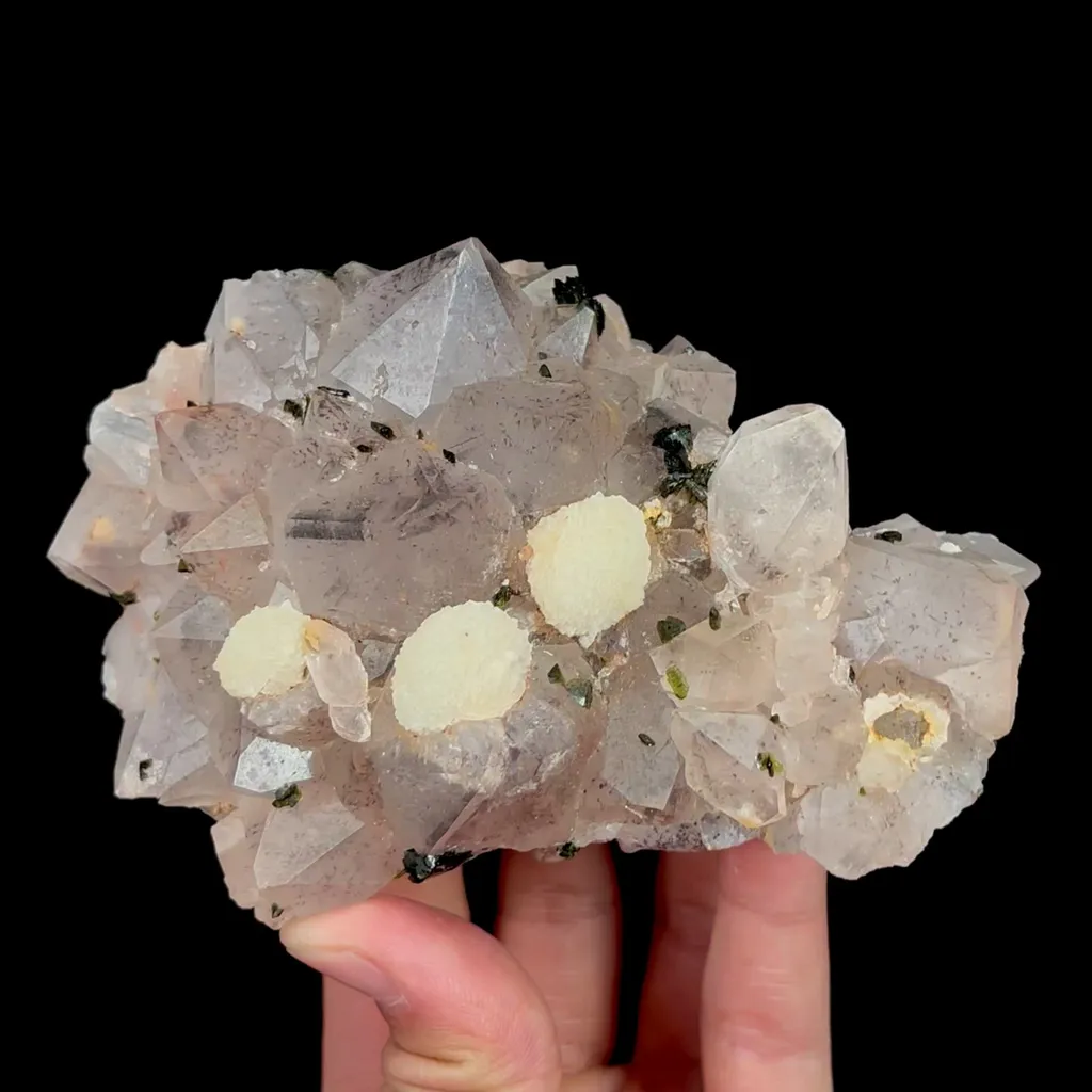 specimen video