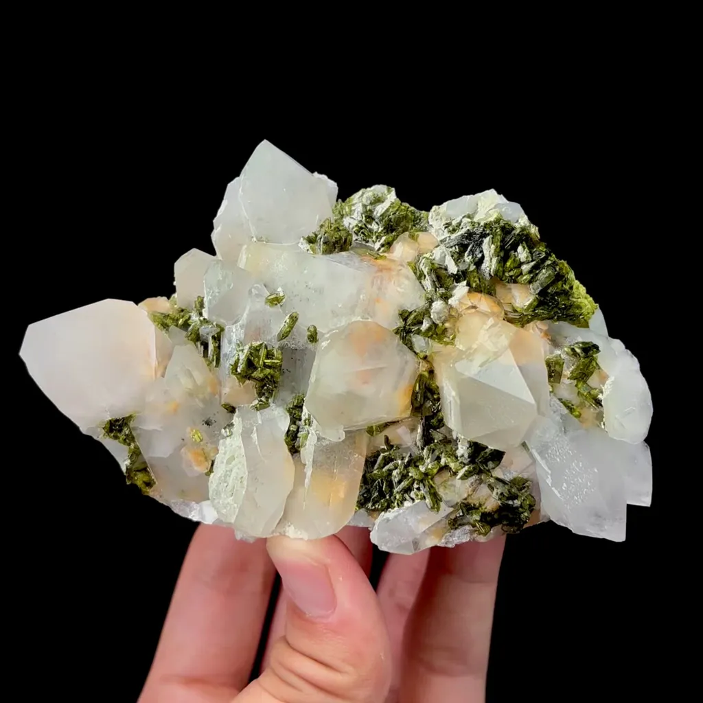 specimen video