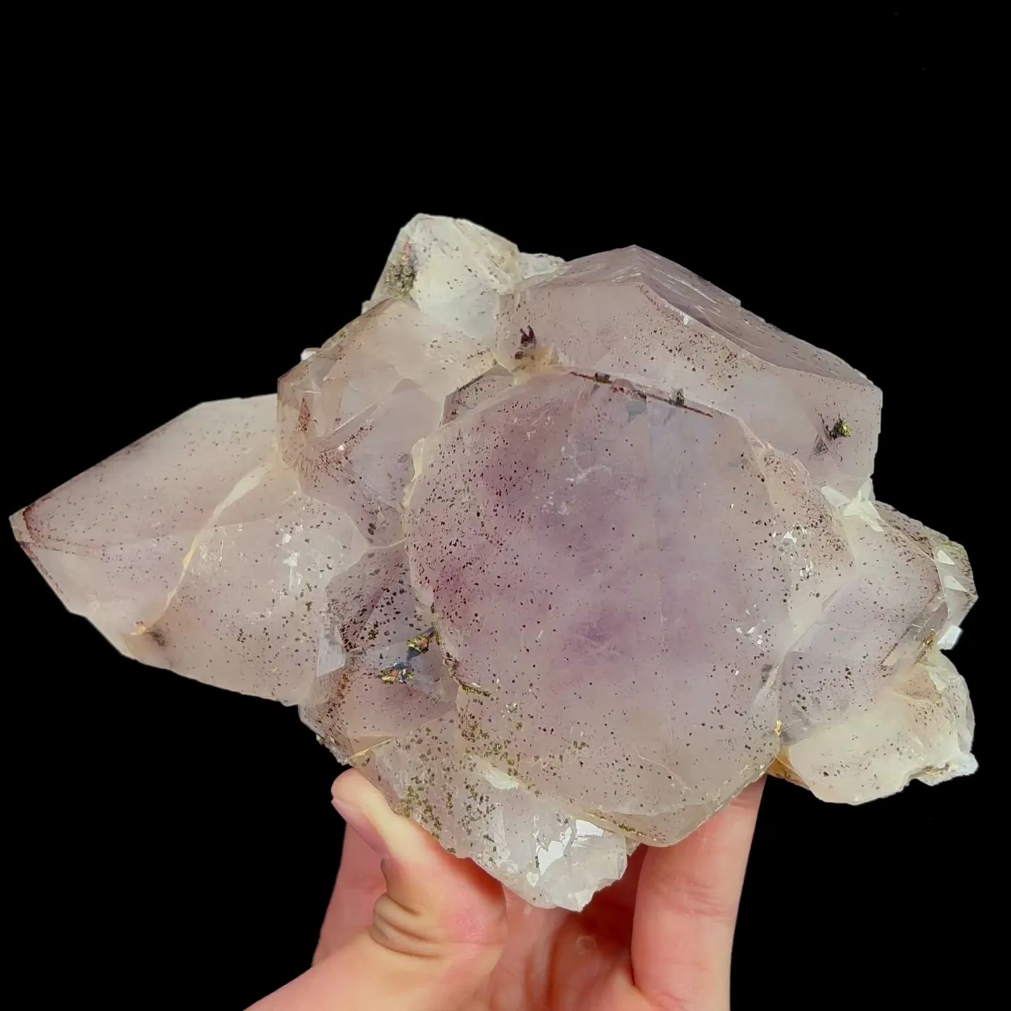 specimen video