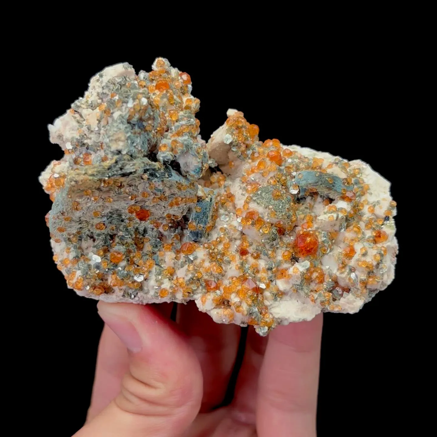 specimen video