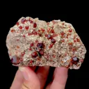 specimen video