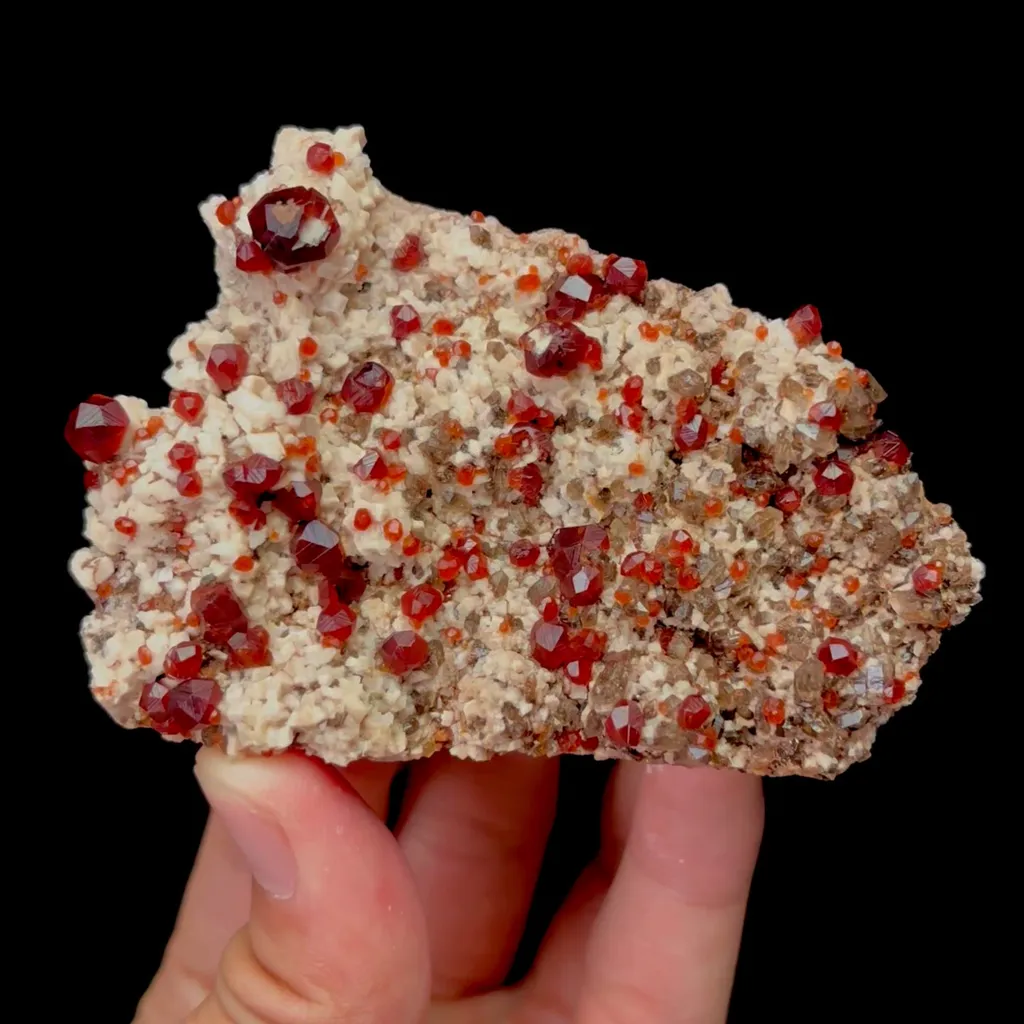specimen video