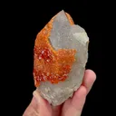 Natural Garnet and Smoke Quartz,Mineral Specimen: FUJIAN (100*60*45mm) - image 2