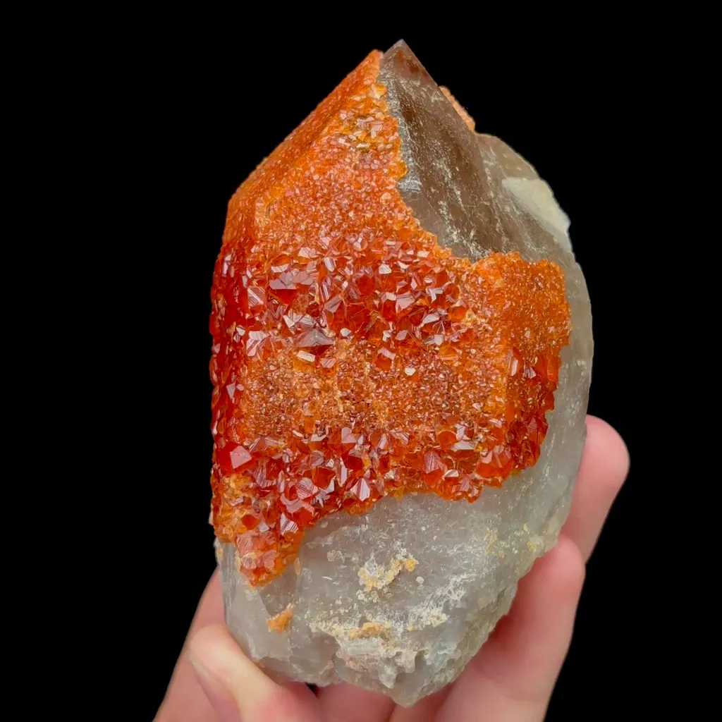 specimen video