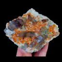 specimen video