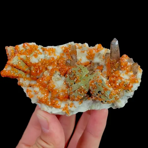 specimen video