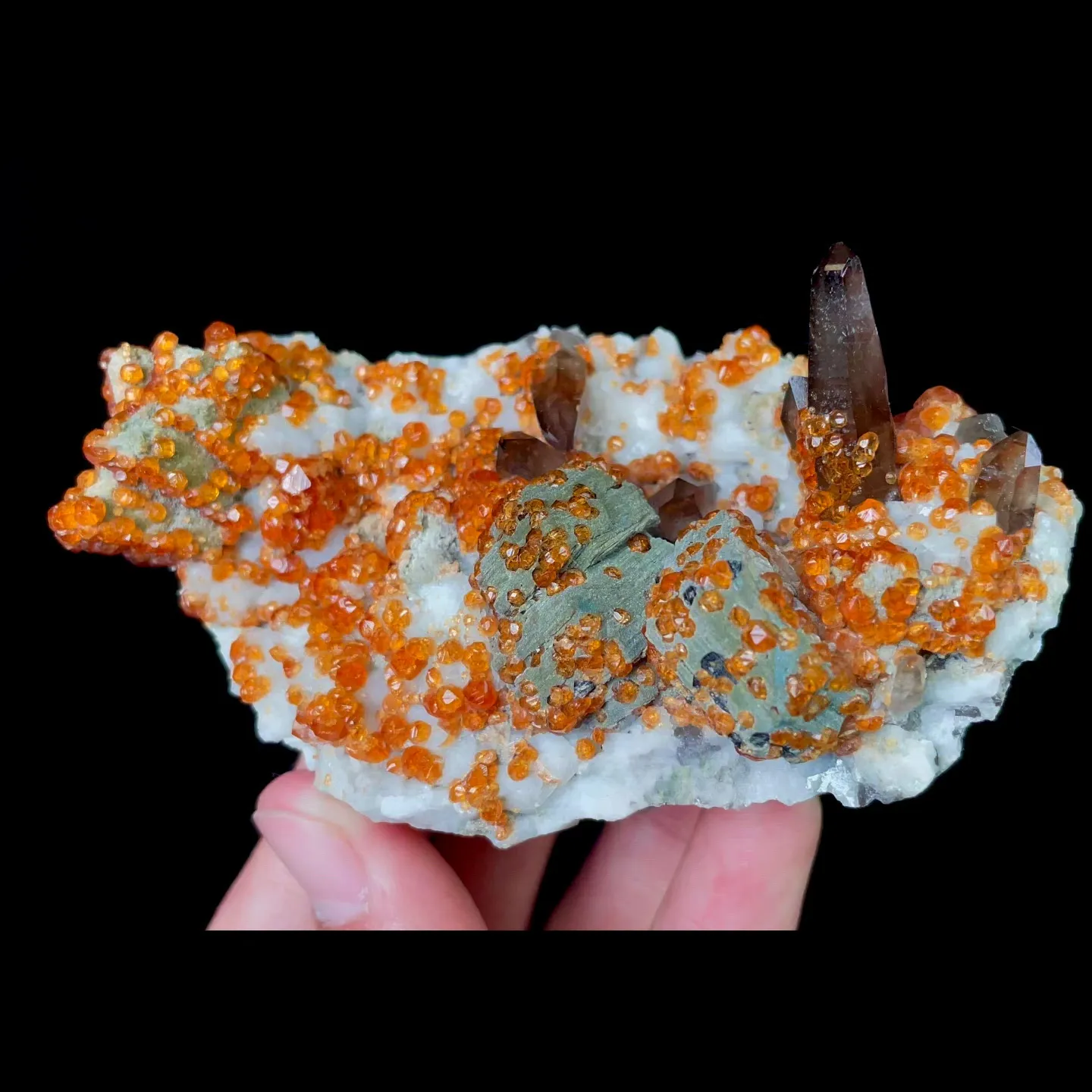 specimen video