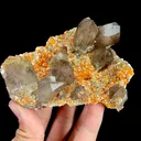 Natural Garnet and Smoky Quartz, Mineral Specimen:Fujian,China (100*80*40MM) - image 3