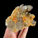 Natural Garnet and Smoky Quartz, Mineral Specimen:Fujian,China (100*80*40MM) - image 2