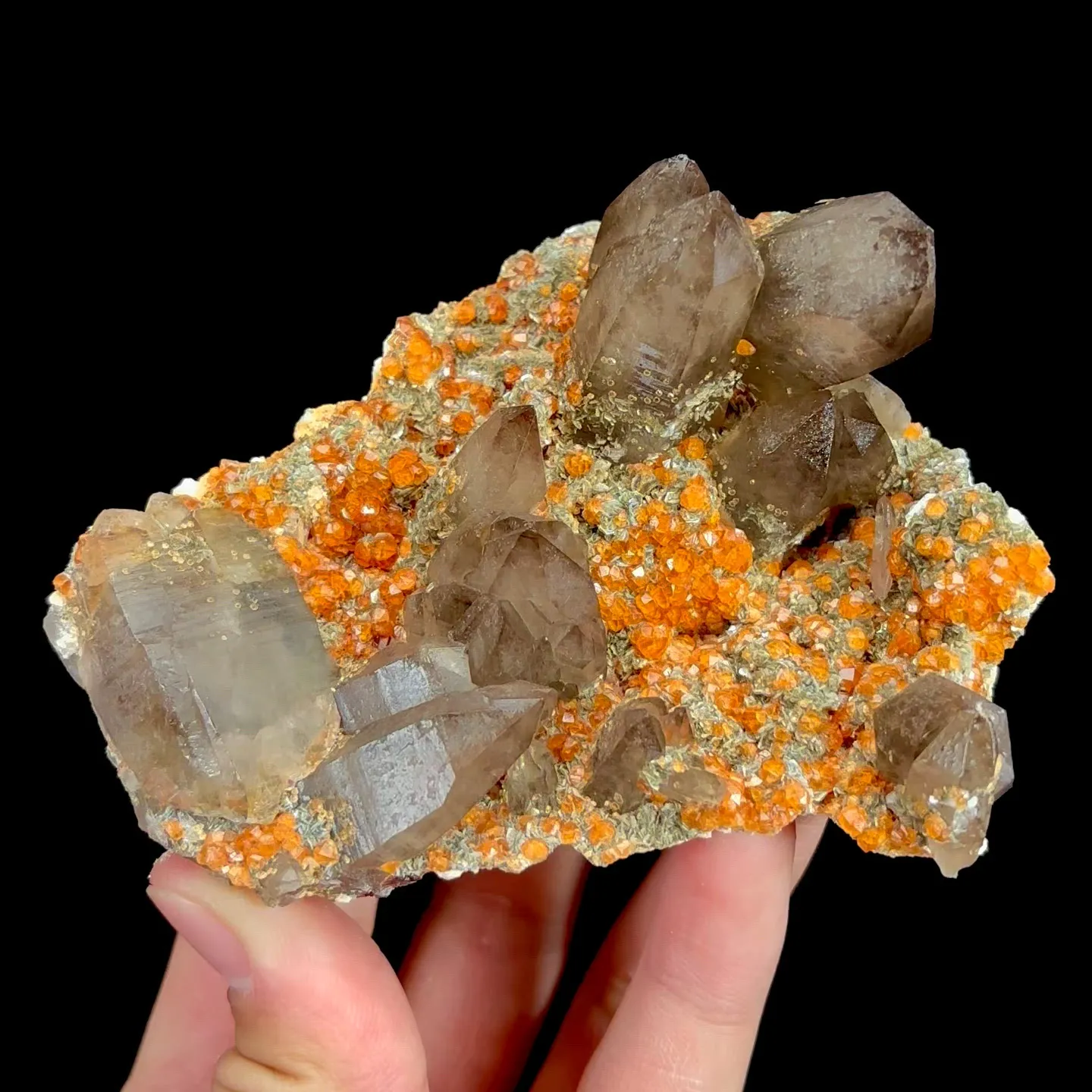 specimen video