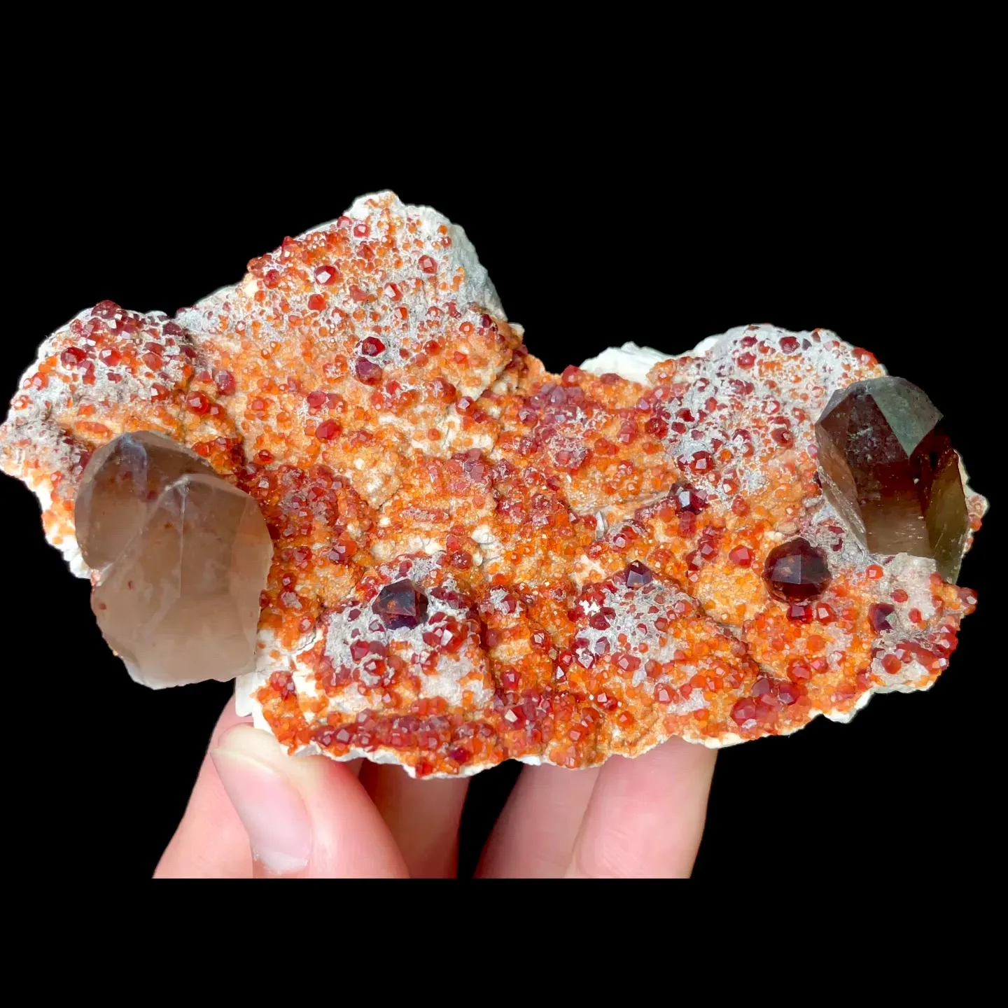 specimen video