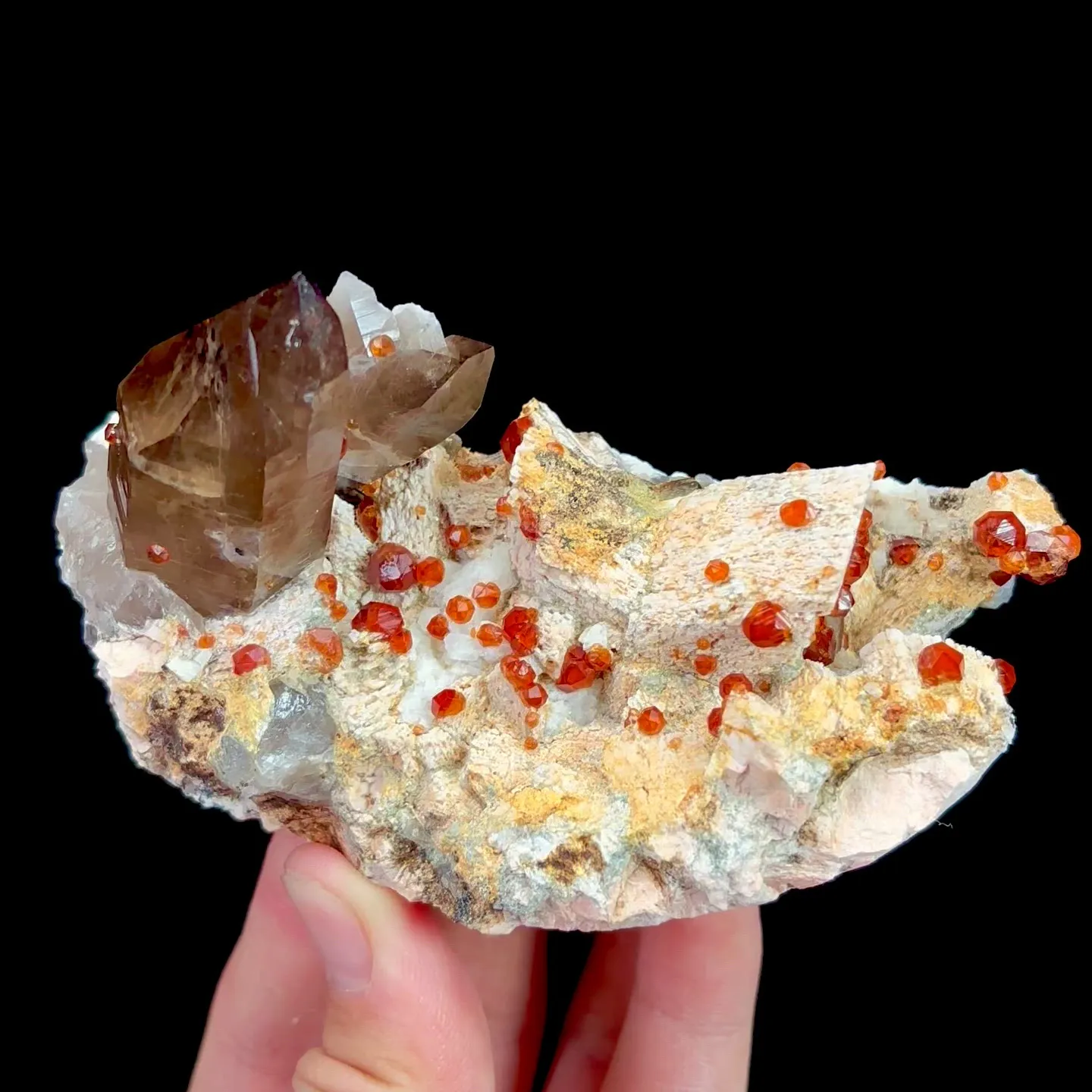 specimen video