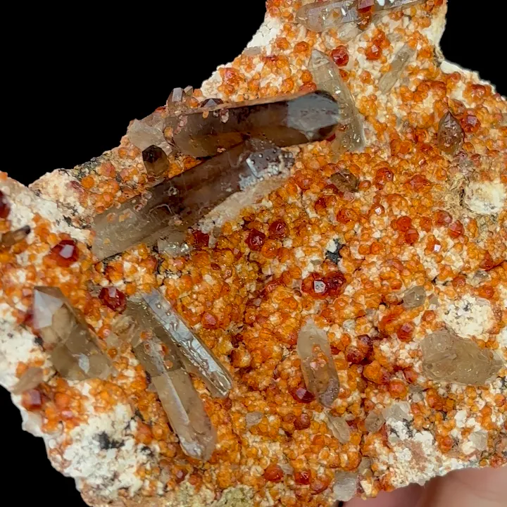 Natural Garnet and Smoky Quartz, Mineral Specimen:Fujian,China (110*80*45MM) image