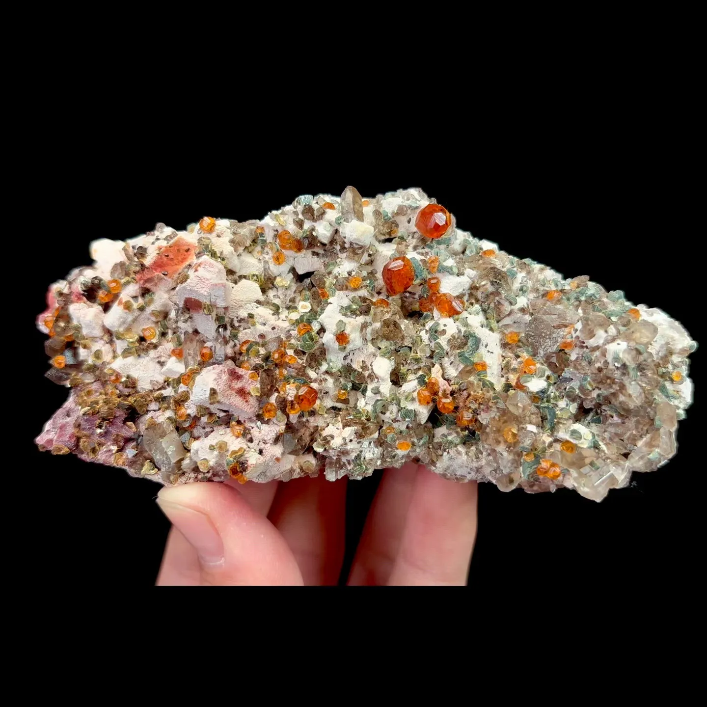specimen video