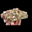 Natural Garnet and Smoky Quartz, Mineral Specimen:Fujian,China (120*50*30MM) - image 3