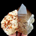 specimen video