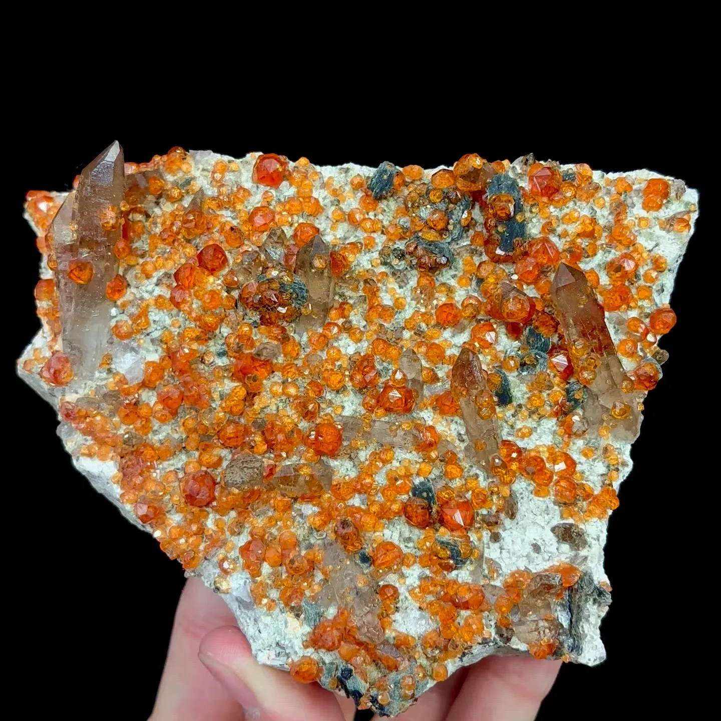 specimen video