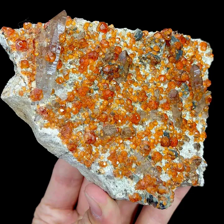 Natural Garnet and Smoky Quartz, Mineral Specimen:Fujian,China (130*100*40MM) - image 3
