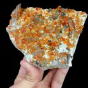 Natural Garnet and Smoky Quartz, Mineral Specimen:Fujian,China (130*100*40MM) - image 2