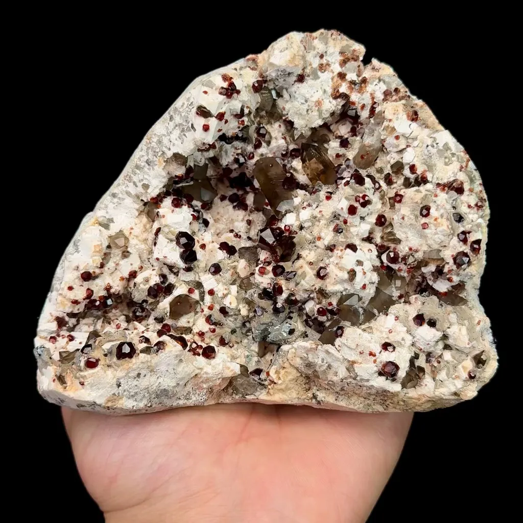 specimen video