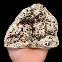 specimen video