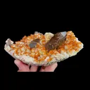 Natural Garnet and Smoky Quartz, Mineral Specimen:Fujian,China (140*80*55MM) - image 2