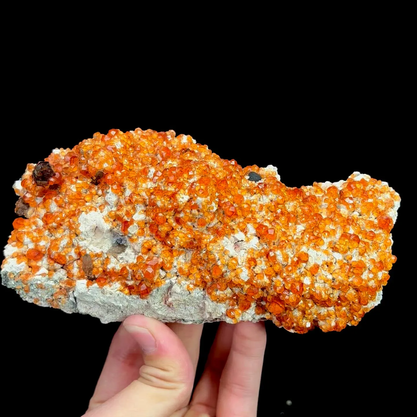 specimen video