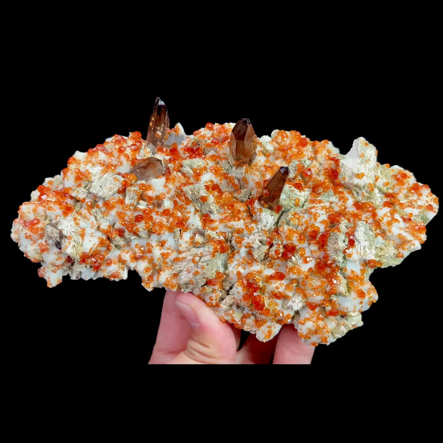 specimen video