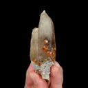 Natural Garnet and Smoky Quartz, Mineral Specimen:Fujian,China (30*20*80MM) - image 1