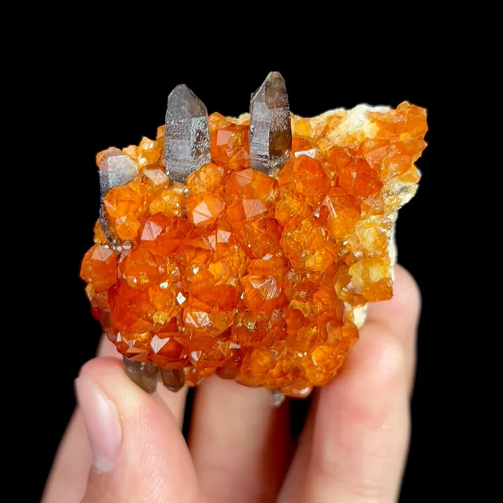 Natural Garnet and Smoky Quartz, Mineral Specimen:Fujian,China (45*50*25MM) - image 6